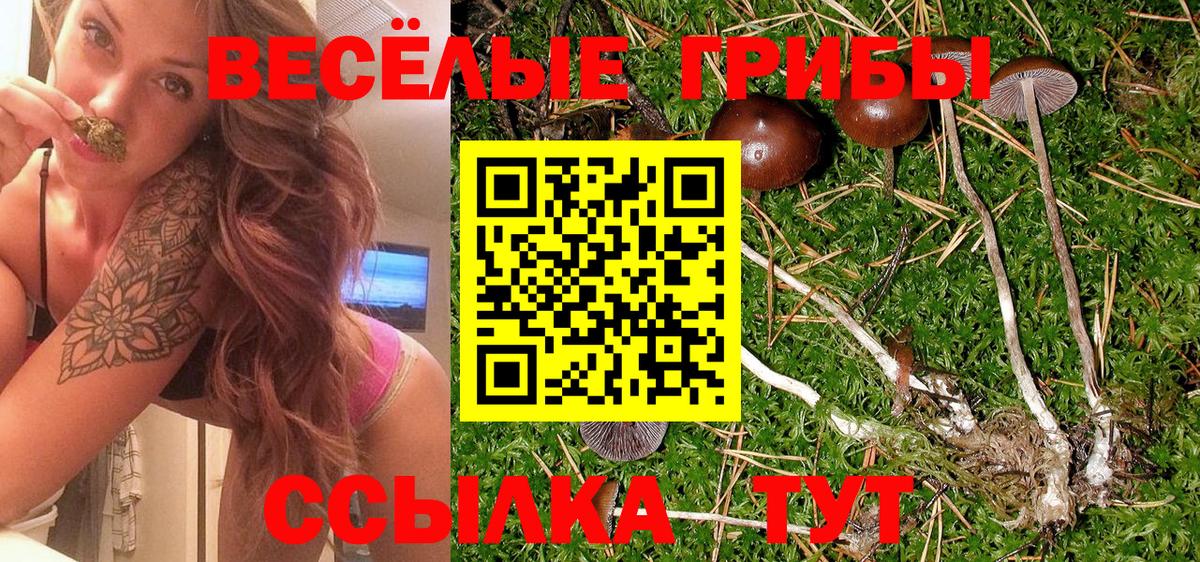Галлюциногенные грибы прущие грибы Черкесск