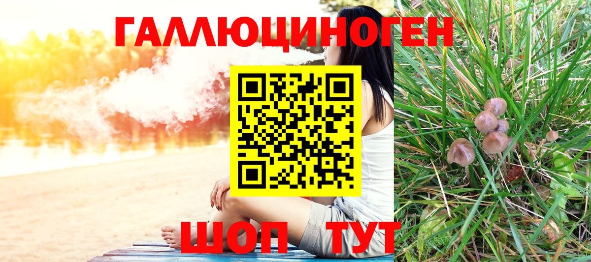 Псилоцибиновые грибы прущие грибы  Вход с VPN  Псилоцибиновые грибы GOLDEN TEACHER  Черкесск 